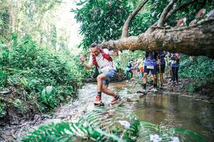 BIB: 
                            <button type="button" onclick="openModal(25476396)" class="btn btn-primary btn-sm float-right btn-popup" data-toggle="modal" data-target=".modal-high-quality">
                        <i class="fas fa-shopping-cart"></i> Add to Cart
                    </button>
                                            <button type="button" onclick="isThisMe(25476396, true)" class="btn btn-success btn-sm float-right btn-popup btn-isme hidden" data-toggle="tooltip" data-placement="bottom" title="นี่คือรูปของคุณใช่ไหม คลิกที่นี่เพื่อเอาเข้าอัลบั้ม">
                        <i class="fas fa-plus"></i> Add to album
                    </button>
                    <button type="button" onclick="isThisMe(25476396, false)" class="btn btn-warning btn-sm float-right btn-popup btn-isnotme hidden">
                        <i class="fas fa-ban"></i> Remove from album
                    </button>